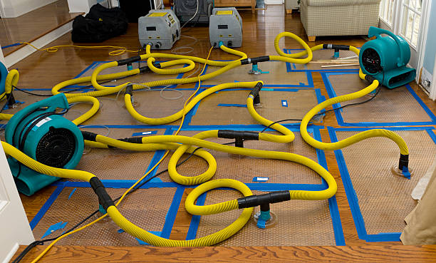Professional Burst Pipe Water Damage technician working in Elbert, CO